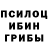 Галлюциногенные грибы Cubensis Elena Kniaginina