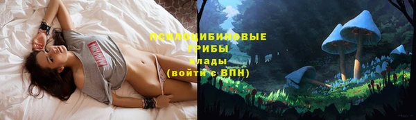 мдпв Магас