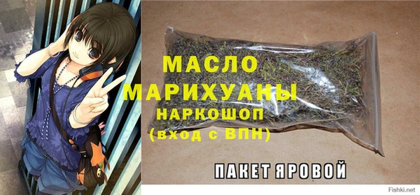 мдпв Магас
