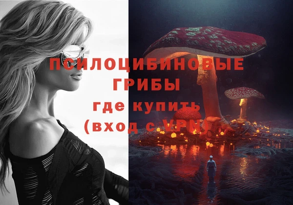 амф Медногорск