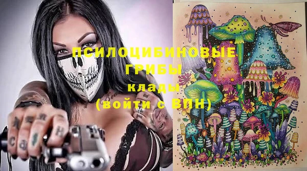 соль ск Медвежьегорск