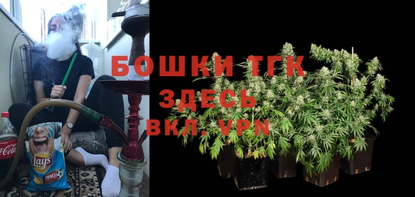 ECSTASY Майский