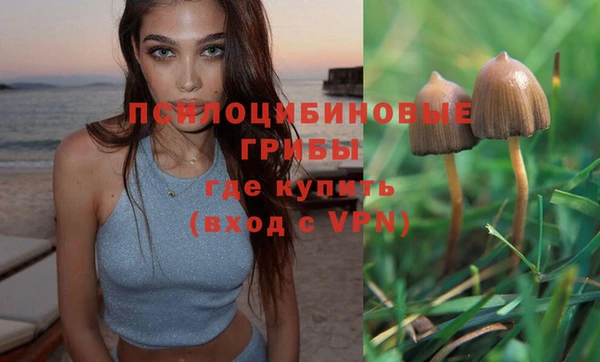 амф Медногорск