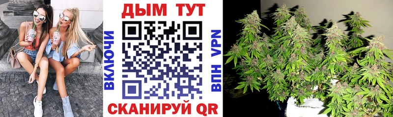 Бошки Шишки индика  Купить закладки  Мирный 
